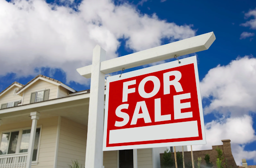 tampa florida real estate lawyer