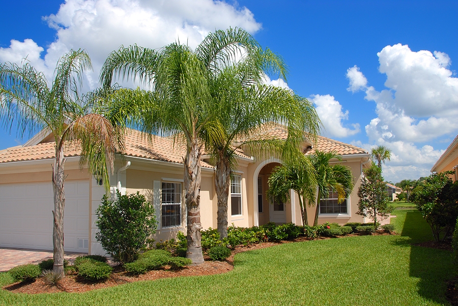tampa attorney for homestead act issues